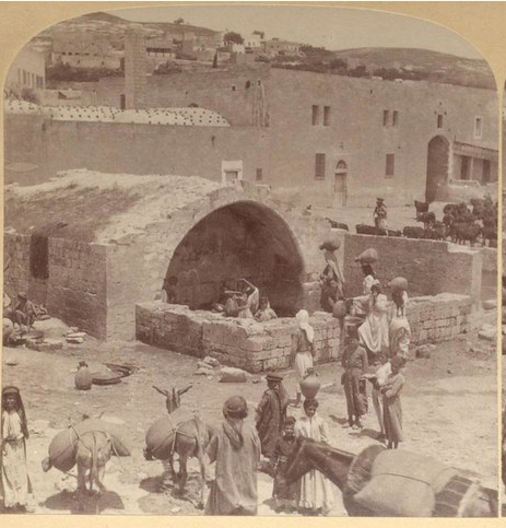 FOA - Friends of Al-Aqsa | Peace in Palestine